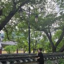 운문면사무소 | 강의 힐링 여행청도운문사 청도 웃음치료 강의 후기