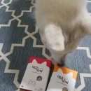 먹고가개 이미지