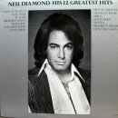 Play Me Neil Diamond 이미지
