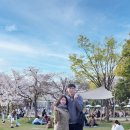 2023-0011 | 2023 벚꽃구경 일본 여행기 4편 ∥덴노지공원+그랜드 프론트 오사카 우설 전문점 키스케 후기