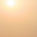 춘삼월 추억을 더듬어 봅니다. 이미지