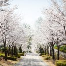 가든이다 이미지