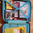 산수싸리 이미지