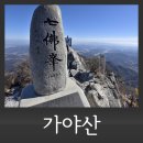 제49차 청주 일요산악회 정기산행 이미지