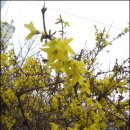 입암1리 이미지