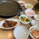 명지 장수오리 이미지