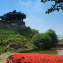 수원-1963 이미지