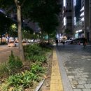 서초대로 150 이미지