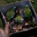 버드마트 이미지