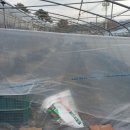 성목목장 이미지