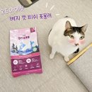 오드아이펫