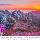 제413회 23'04.23(일) 강진 주작산 정기산행 안내합니다. 이미지