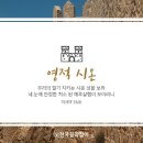 담시온 이미지