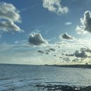 탐라(나동) | 250921 제주 결혼식 참석 겸 가족여행 (2)