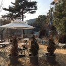 카페오월의숲