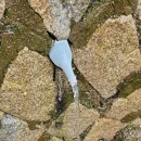 물삼거리 이미지