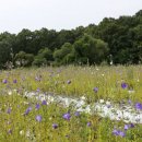 인준농장 이미지