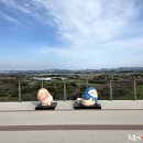 한우목장 이미지