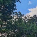 부소산성 고란사 화장실 이미지