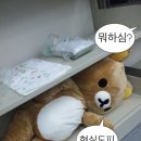 딩동당동 이미지