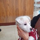 두류초등학교 이미지