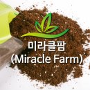 미라클팜 이미지