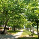 원상동경로당 이미지