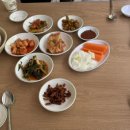 여름 분위기 제대로 시원하게 계곡물소리 들으며 먹는 백숙맛집 동두천 탑동계곡 앞 길손식당