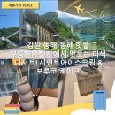 강원 동해 - 동해 핫플 무릉별유천지에서 맛보는 이색 디저트! 시멘트 아이스크림 &amp; 보루코 케이크