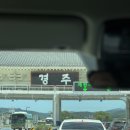 아르떼펜션 | 경주 대가족 추천 펜션 ㅣ4가족이 함께 다녀온 경주 아르떼 풀빌라 펜션 후기