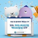 신한항공(국내) 이미지