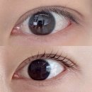 자연스러운 속눈썹펌 맛집 [오드로] 후기ㅣ대만족 재방문 의사 100%ㅣ남성역 디자인 속눈썹펌ㅣ남성역...