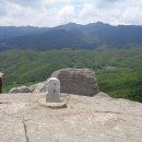 9/3 대구 팔공산 인봉(579m) 산행안내 이미지