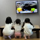 연천 눈썰매장 리조트, 알멕스랜드 리조트 커넥트룸(커넥팅룸)