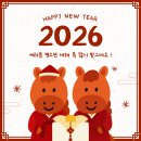 강원흑염소 | [강원청정흑염소] 2026년 건강 트렌드와 흑염소랑 백봉이랑 진액 🐴