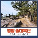 중흥체육관 | 가볍게 오르기 좋은 영암 솔대목산 주차와 코스 꽃 개화 정보