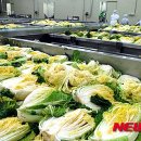화원농협김치가공공장 이미지