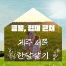 제주도 협재 해수욕장 근처 금능자갈 식당, 제주 탐라 만두, 맘스터치 협재점, 금능 해장국