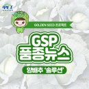 사계절 솔루션