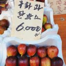 과일총판 네이버블로그