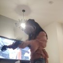 [대구] vr체험 추천 경대북문 데이트 play vr 완전 꿀잼