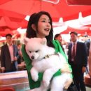 (주)여행매니저 이미지