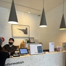 비고리조트 1 이미지