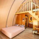 소나무세상 이미지