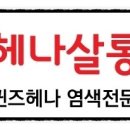 홍안나미용실 이미지