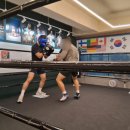 영바디복싱 이미지