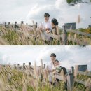 우리결혼정보 | 💍 2025년 1월 18일, 우리의 결혼 준비 후기 🕊️