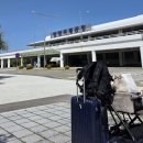 성산6길 | 임신32주차 3박4일 제주도 애견동반 태교여행 후기