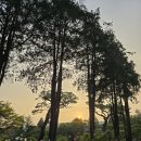 홍종흔베이커리 군포점｜정원 힐링 대형카페 탐방기