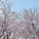 영종진공원 네이버블로그